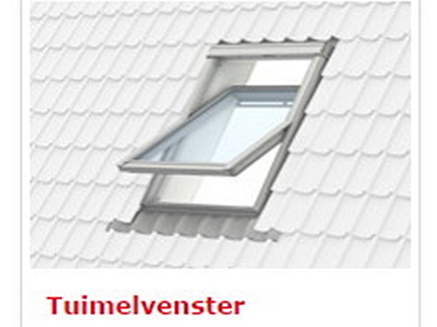 tuimelvenstervelux